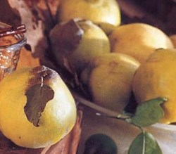 Маска из плодов айвы для жирной кожи лица