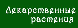 Интеренет-журнал Лекарственные растения